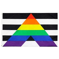 Pride Flag Ally